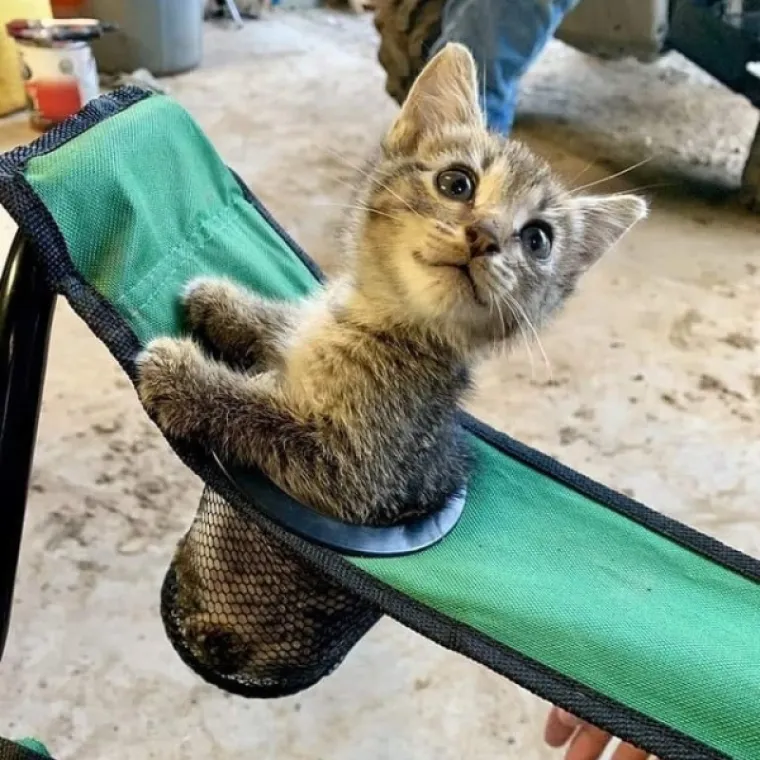 EVO KAKO IZGLEDA ČISTA SREĆA: Kad vam se smuči život od predizborne kampanje, ove 24 slike će vam ga uljep&scaron;ati