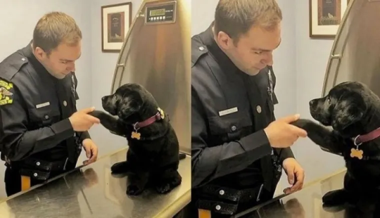 EVO KAKO IZGLEDA ČISTA SREĆA: Kad vam se smuči život od predizborne kampanje, ove 24 slike će vam ga uljep&scaron;ati