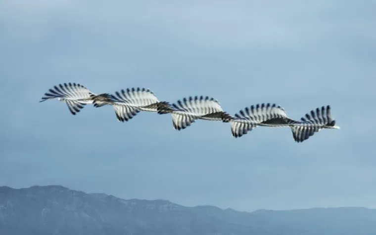 VIZUALNI ORGAZAM: Prizori toliko skladni da ćete uživati možda i vi&scaron;e no &scaron;to biste trebali