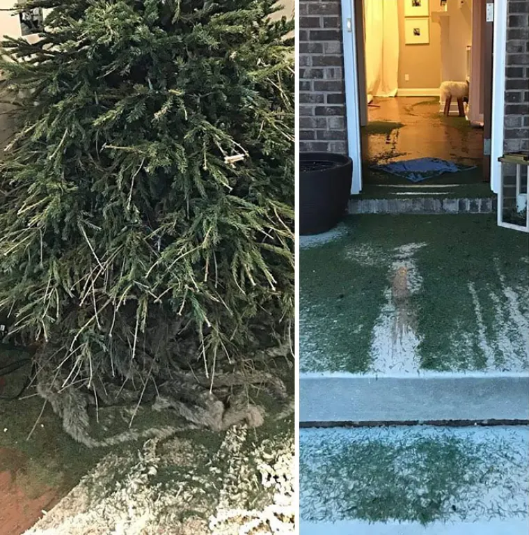 &Scaron;to se ovdje dogodilo? Ovi ljudi jednostavno nemaju sreće kad je Božić u pitanju