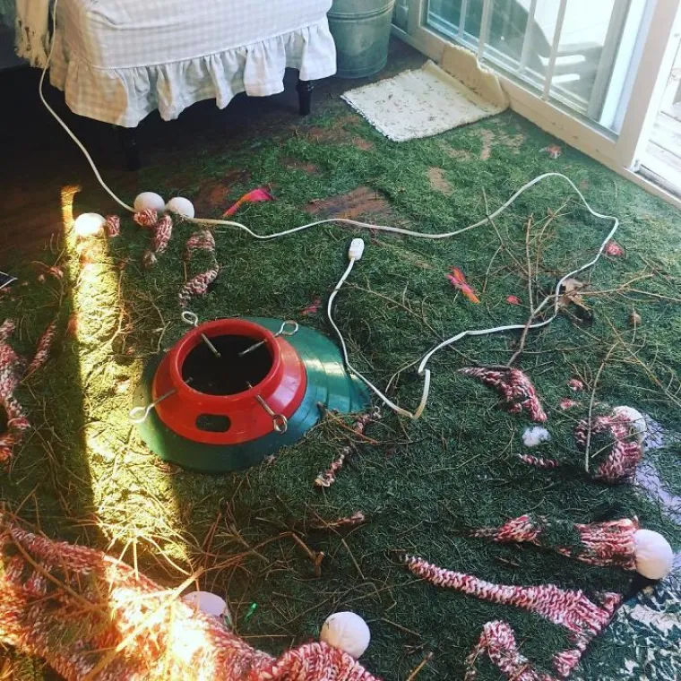 &Scaron;to se ovdje dogodilo? Ovi ljudi jednostavno nemaju sreće kad je Božić u pitanju