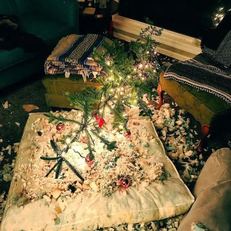 &Scaron;to se ovdje dogodilo? Ovi ljudi jednostavno nemaju sreće kad je Božić u pitanju