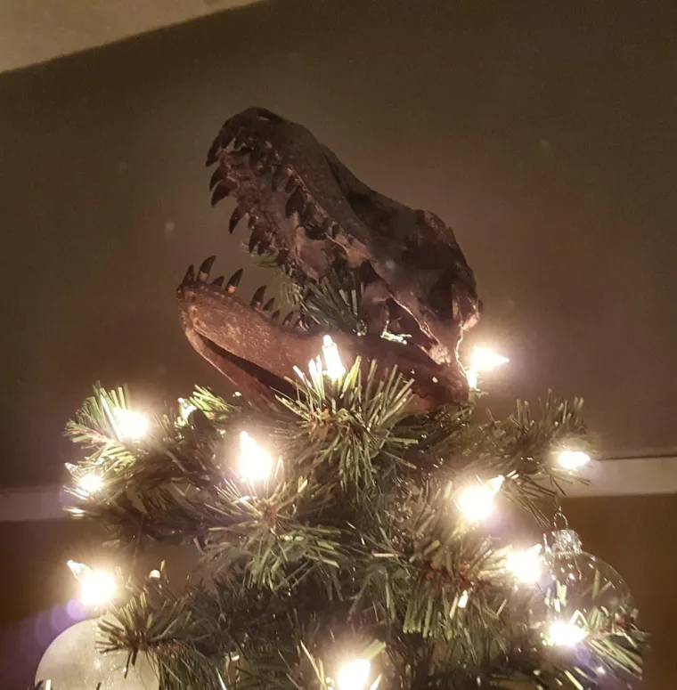 OBJAVLJUJU NAJBIZARNIJE UKRASE ZA VRH JELKE: A neke od fotografija su sve samo ne čedne