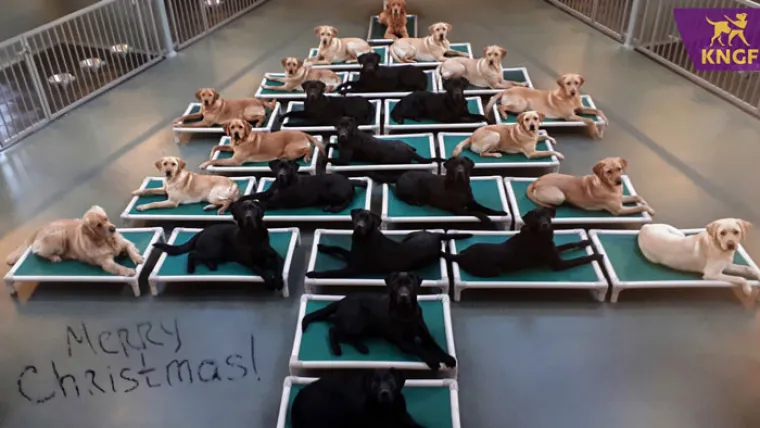 OTI&Scaron;LI SU NA POSAO I UZELI STVAR U SVOJE RUKE: Božićno drvce napravili od predmeta koji su im bili pri ruci