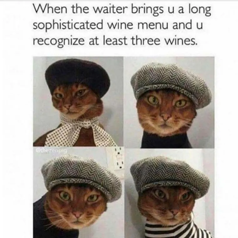 PROBAJ SE NE NASMIJATI: Ove memove mogli bismo koristiti svaki dan