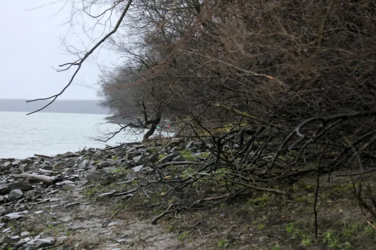 PREVRENUO SE ČAMAC S MIGRANTIMA U DUNAV: Pronađena dva tijela, a za četiri osobe se traga