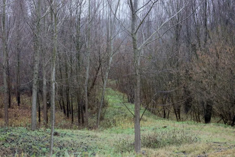 PREVRENUO SE ČAMAC S MIGRANTIMA U DUNAV: Pronađena dva tijela, a za četiri osobe se traga