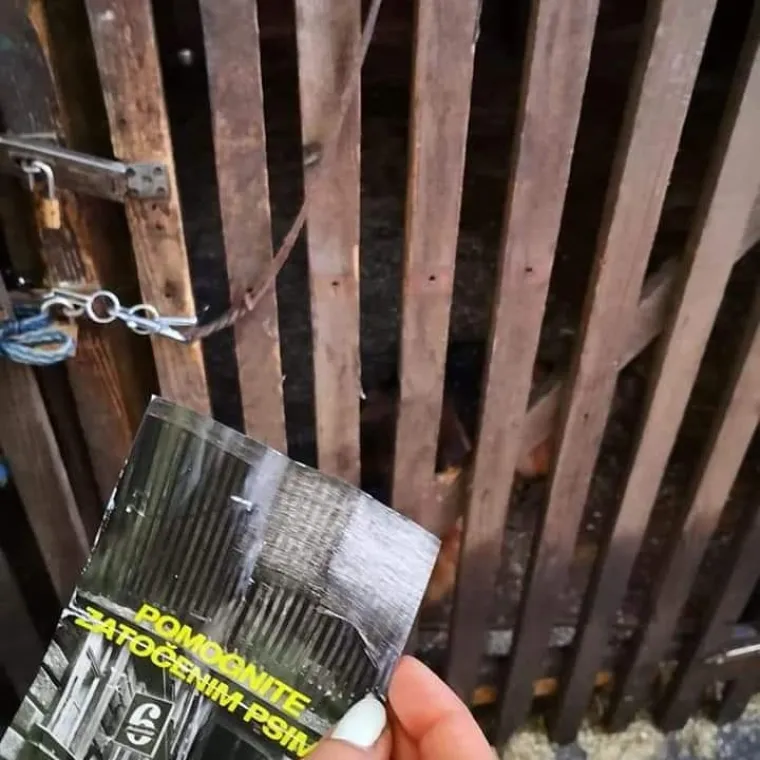 Vlasnik pizzerije na udaru: 'Zlostavlja tri psa, spasite ih!' Djelatnici ga brane: 'Podmeću mu!'