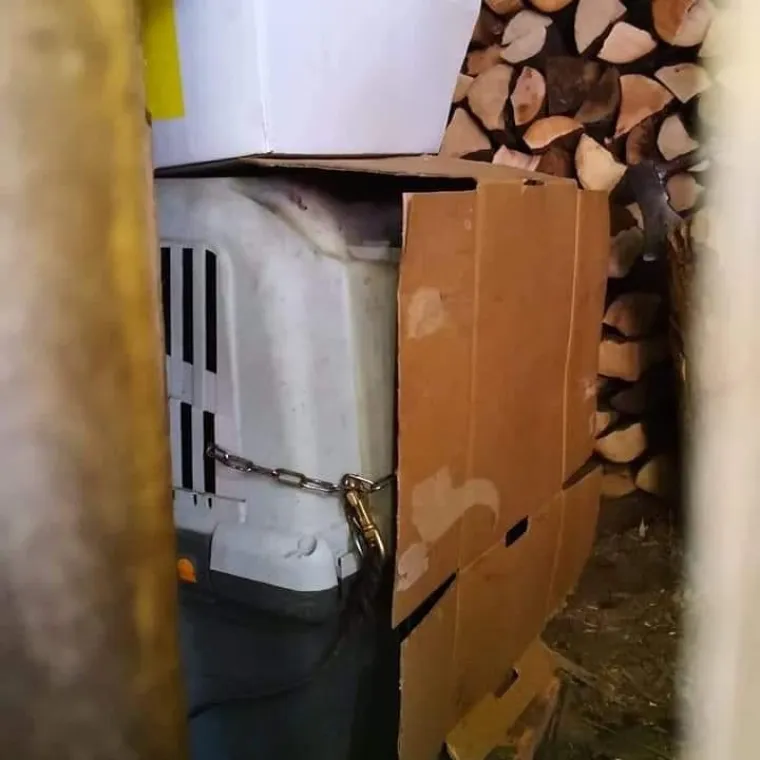 Vlasnik pizzerije na udaru: 'Zlostavlja tri psa, spasite ih!' Djelatnici ga brane: 'Podmeću mu!'