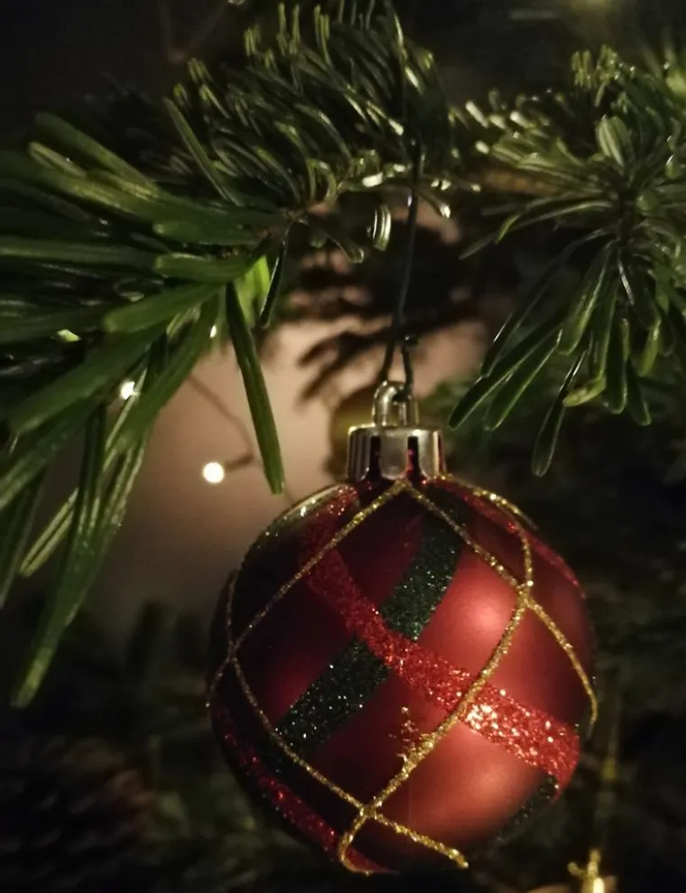 Ideje kako blagdanskim dekoracijama možete unijeti toplinu Božića u svoj dom