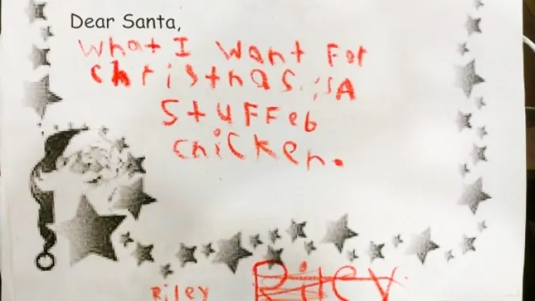 Dragi djedice, ono &scaron;to ja želim za Božić je punjeno pile.