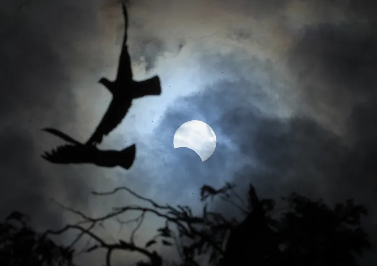 Rijedak nebeski fenomen: Pogledajte kako izgleda sunčev vatreni prsten