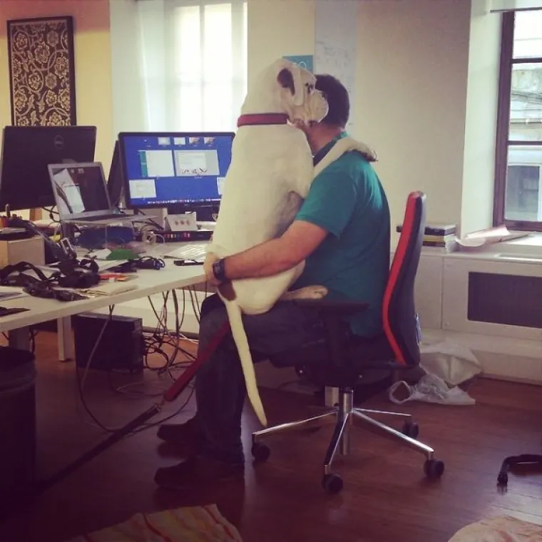 Psi kao stand-up komičari: Vlasnici podijelili humoristične trenutke sa svojim ljubimcima