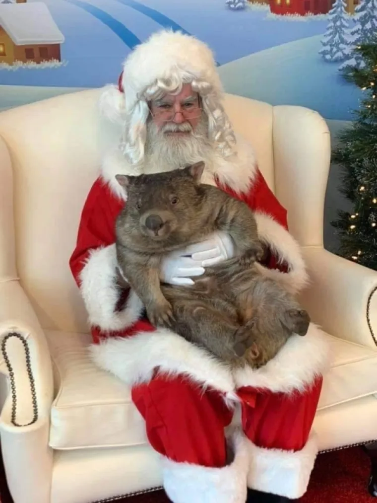 KADA BI ŽIVOTINJE BILE KOMIČARI: Uhvatili ih u najurnebesnijim trenucima