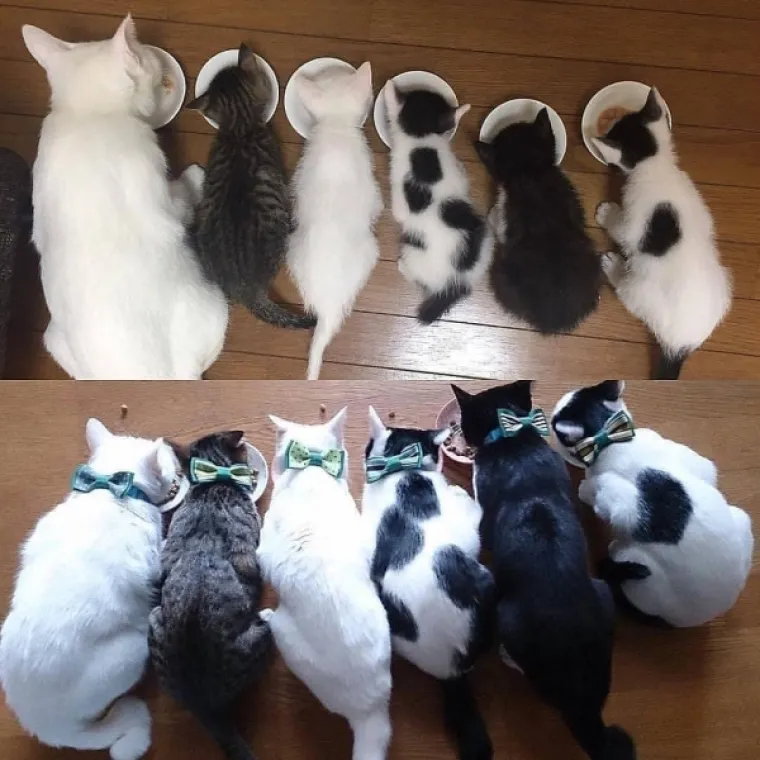 REKREIRALI FOTOGRAFIJE IZ DJETINJSTVA: Ako ovo ne probudi nostalgiju u vama, neće ni&scaron;ta