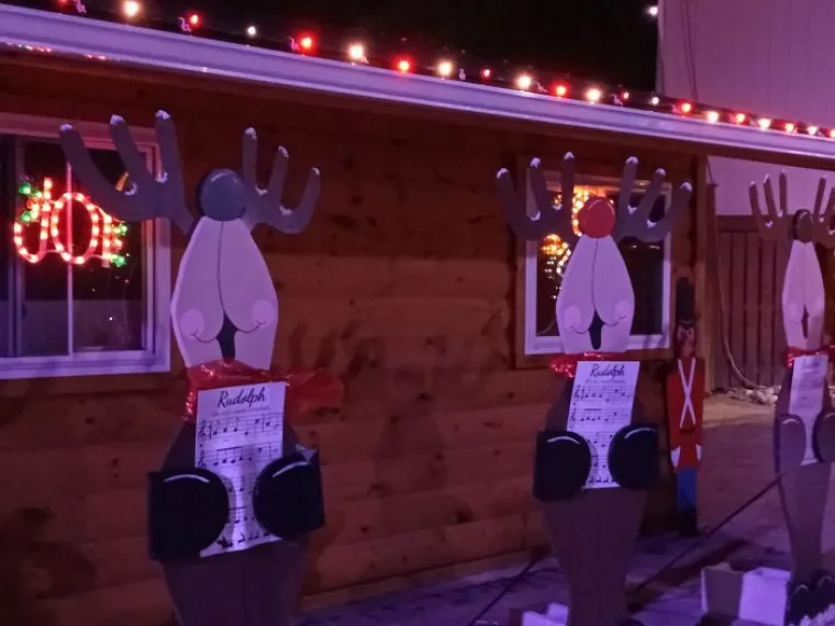 Znamo &scaron;to je va&scaron; mozak vidio,ali zapravo su to sobovi koji pjevaju