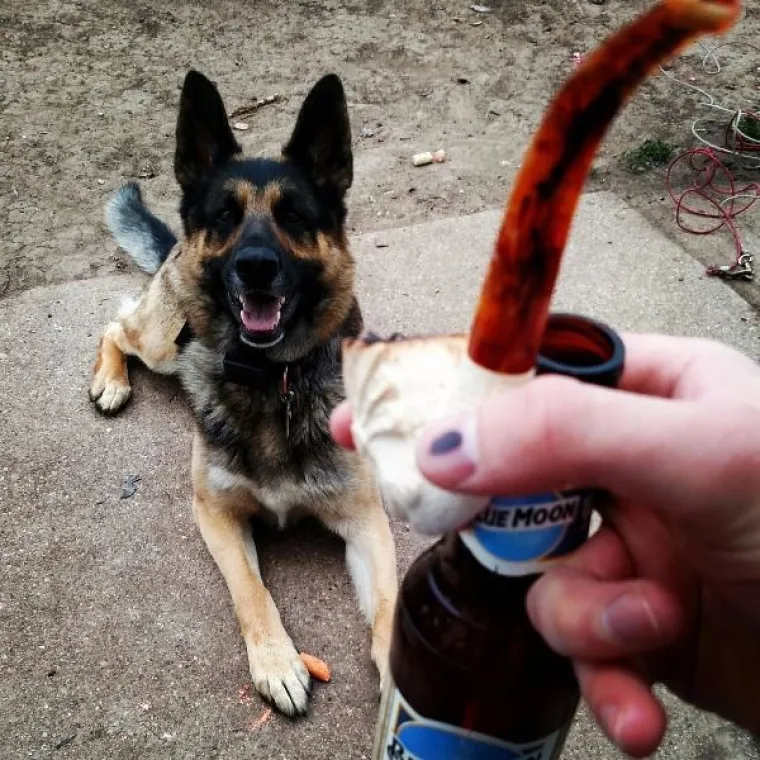 ONI BI ZA HRANU UČINILI DOSLOVNO SVE: Urnebesne fotografije pokazuju o kakvim je žicaro&scaron;ima riječ