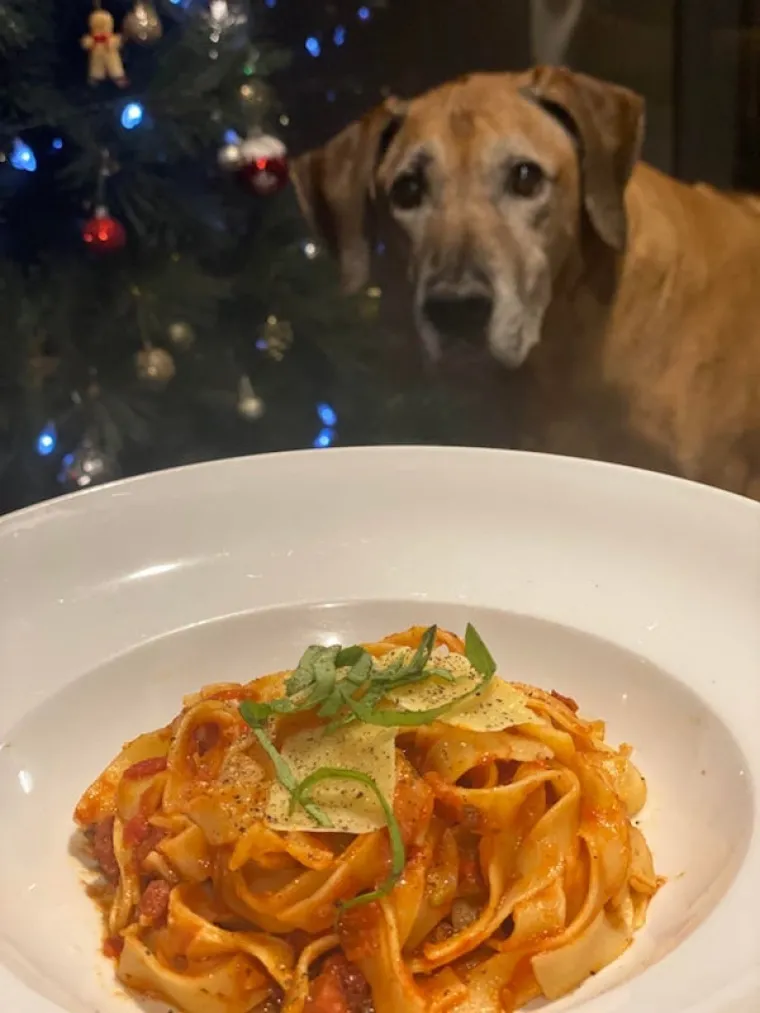 ONI BI ZA HRANU UČINILI DOSLOVNO SVE: Urnebesne fotografije pokazuju o kakvim je žicaro&scaron;ima riječ