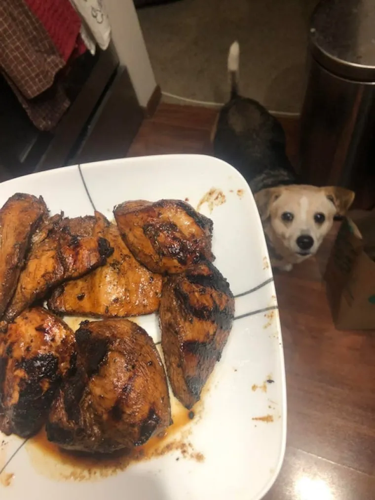 ONI BI ZA HRANU UČINILI DOSLOVNO SVE: Urnebesne fotografije pokazuju o kakvim je žicaro&scaron;ima riječ