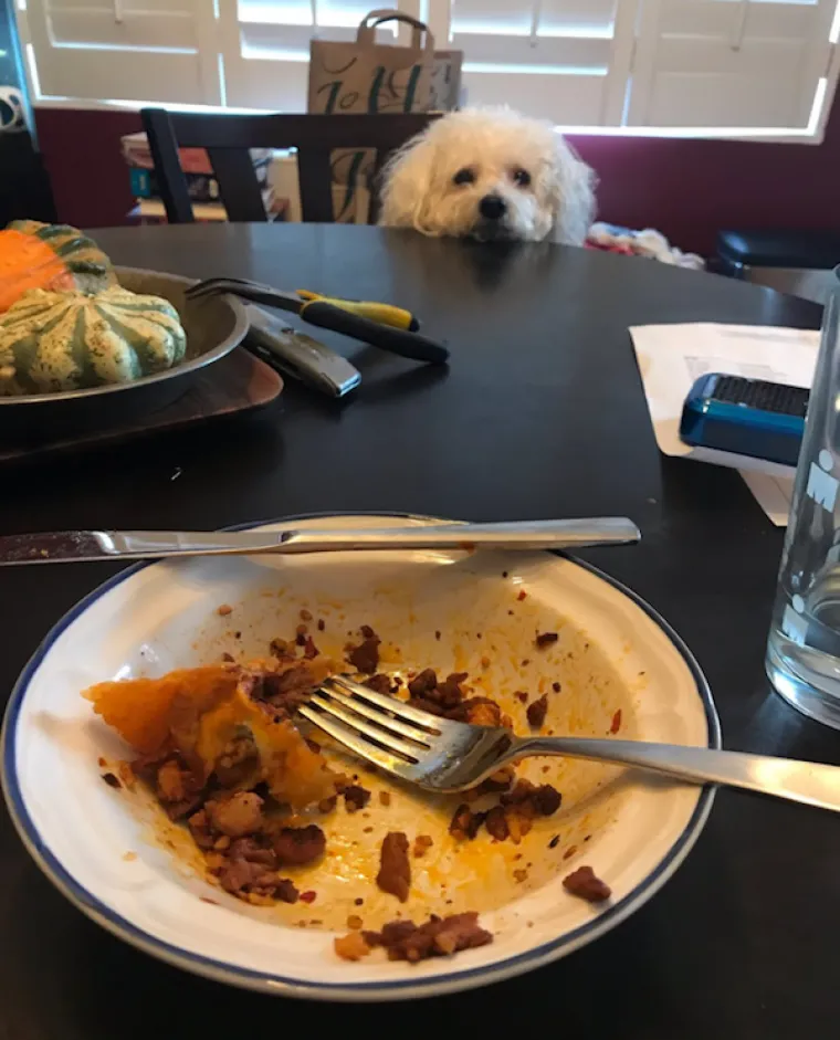 ONI BI ZA HRANU UČINILI DOSLOVNO SVE: Urnebesne fotografije pokazuju o kakvim je žicaro&scaron;ima riječ