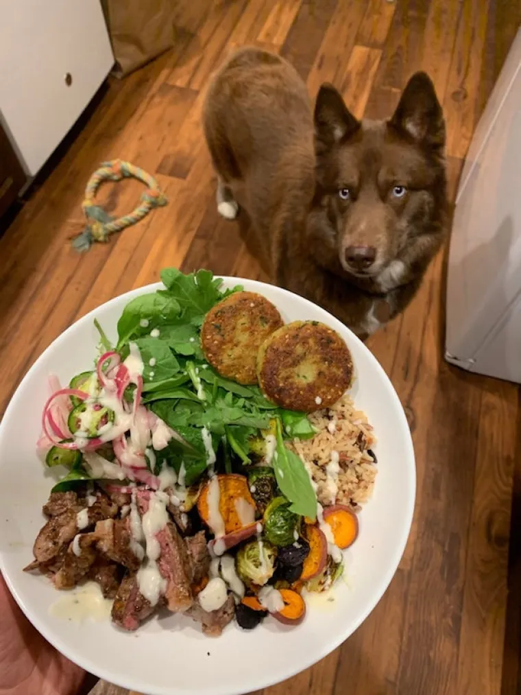 ONI BI ZA HRANU UČINILI DOSLOVNO SVE: Urnebesne fotografije pokazuju o kakvim je žicaro&scaron;ima riječ
