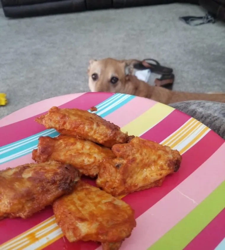 ONI BI ZA HRANU UČINILI DOSLOVNO SVE: Urnebesne fotografije pokazuju o kakvim je žicaro&scaron;ima riječ