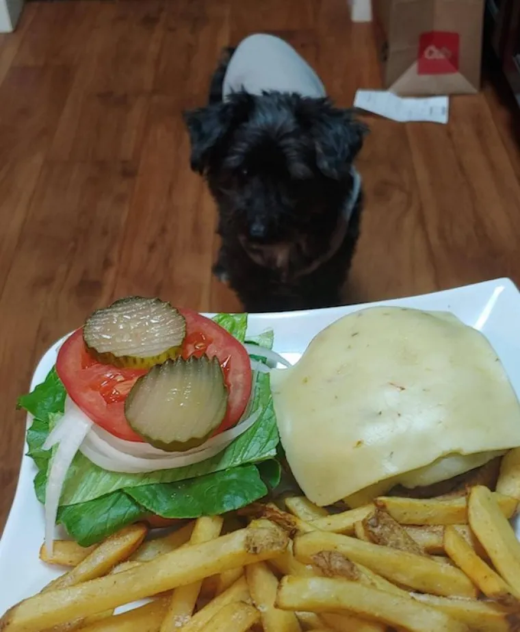 ONI BI ZA HRANU UČINILI DOSLOVNO SVE: Urnebesne fotografije pokazuju o kakvim je žicaro&scaron;ima riječ