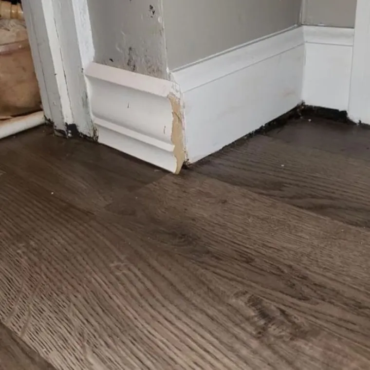 Gdje im je bila pamet: Pogledajte neobjašnjive gluposti pravih 'majstora'