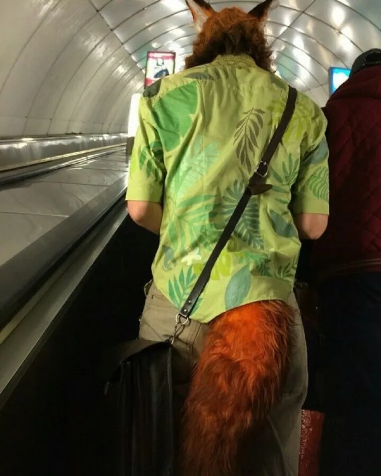 Za&scaron;to ovo rade? Umjesto da im je neugodno, oni se hvale sa svojim glupostima na dru&scaron;tvenim mrežama