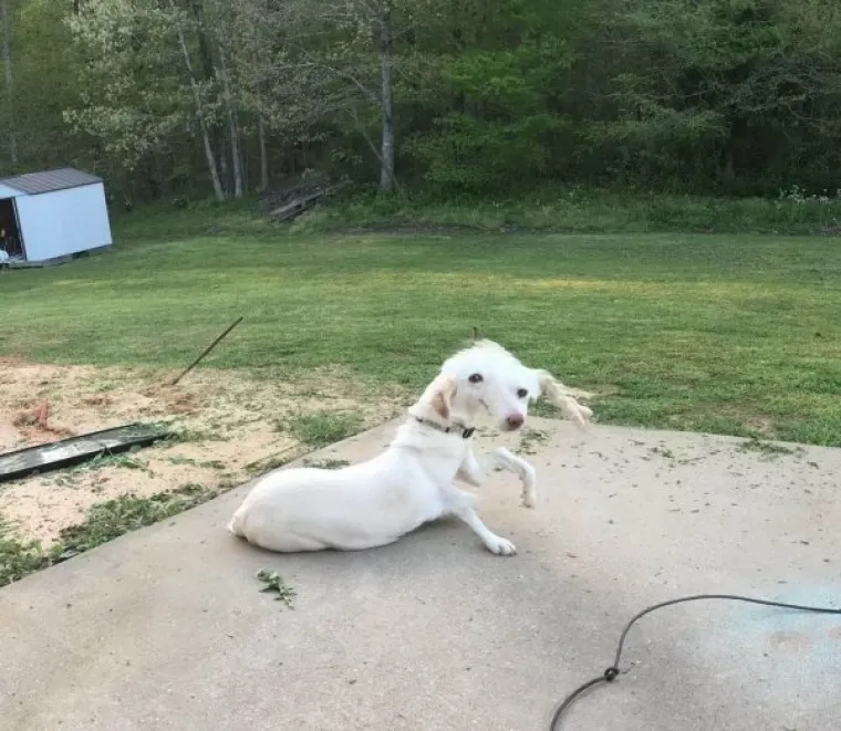 Gdje im je bila pamet? Ako je neuspjeh umjetnost onda su ovi ljudi najveći umjetnici