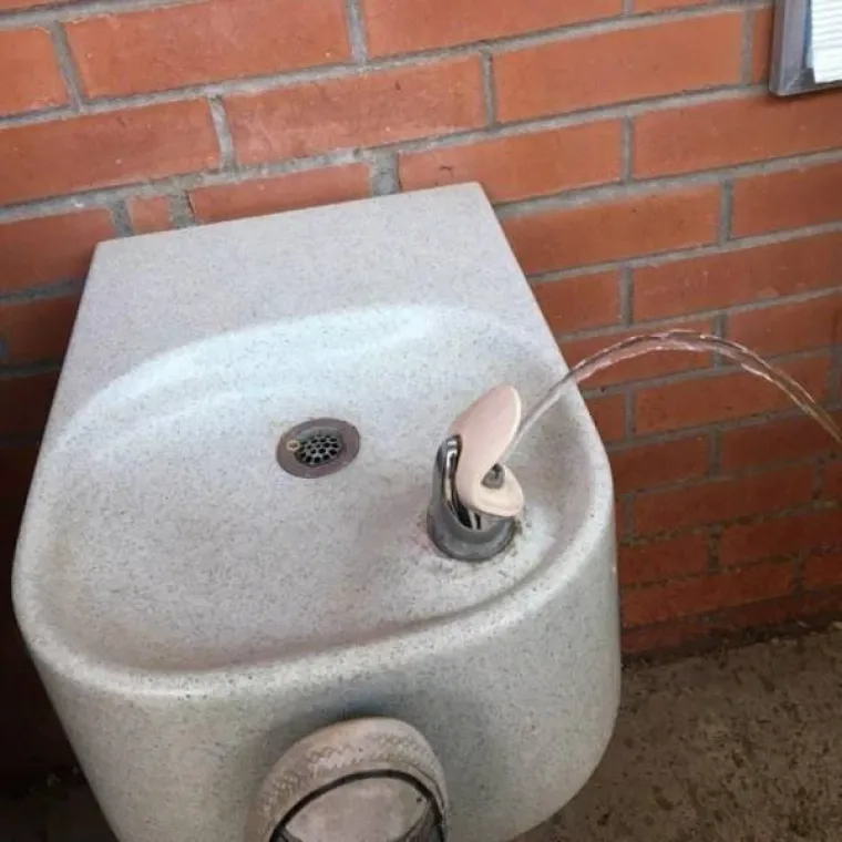 Gdje im je bila pamet? Ako je neuspjeh umjetnost onda su ovi ljudi najveći umjetnici