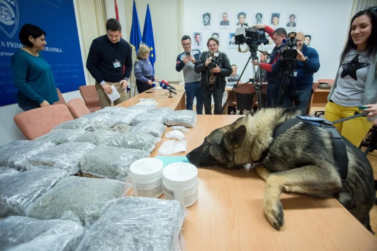 Riječka policija sa službenim psom Kastrom zaplijenila veće količine marihuane i kokaina