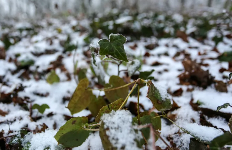 Prava zima: U Zagrebu pao prvi snijeg!
