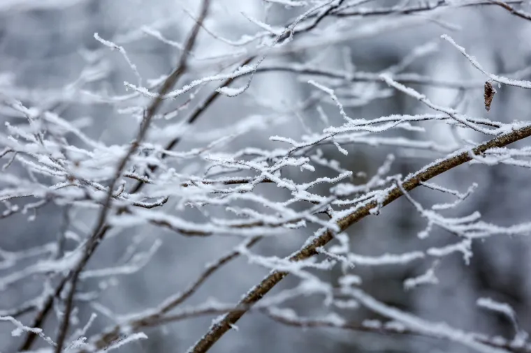 Prava zima: U Zagrebu pao prvi snijeg!