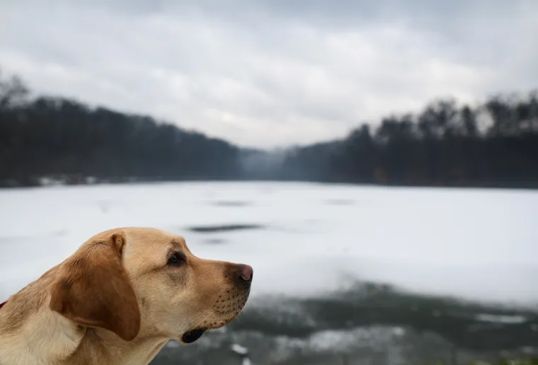 Prava zima: U Zagrebu pao prvi snijeg!