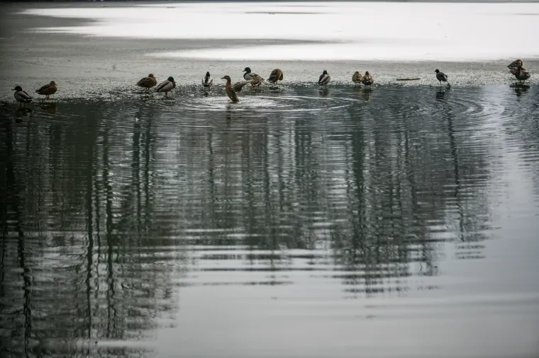 Prava zima: U Zagrebu pao prvi snijeg!