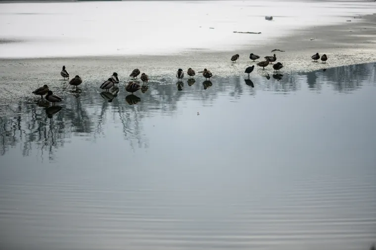 Prava zima: U Zagrebu pao prvi snijeg!