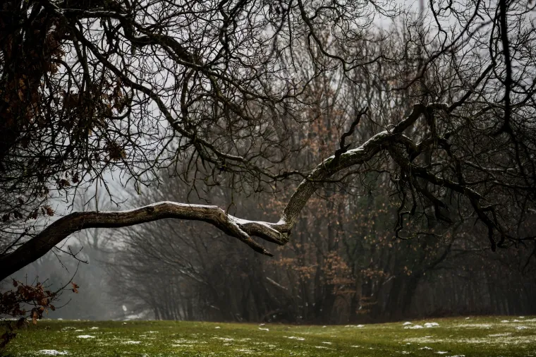 Prava zima: U Zagrebu pao prvi snijeg!