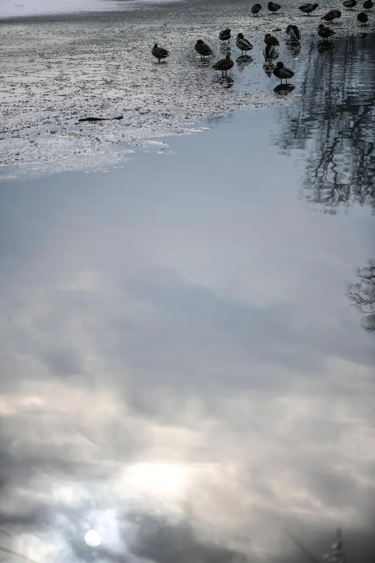 Prava zima: U Zagrebu pao prvi snijeg!