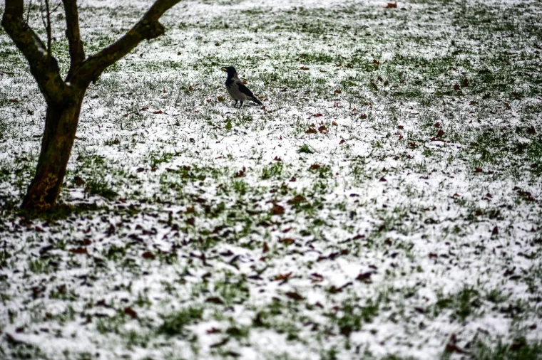 Prava zima: U Zagrebu pao prvi snijeg!