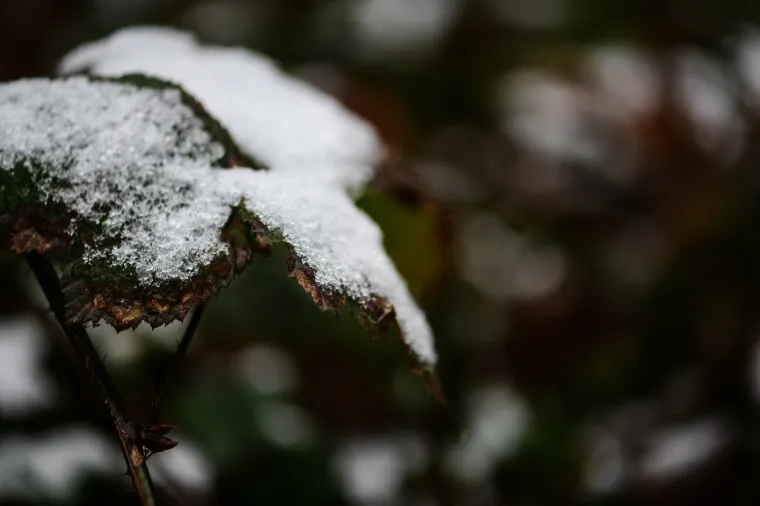 Prava zima: U Zagrebu pao prvi snijeg!