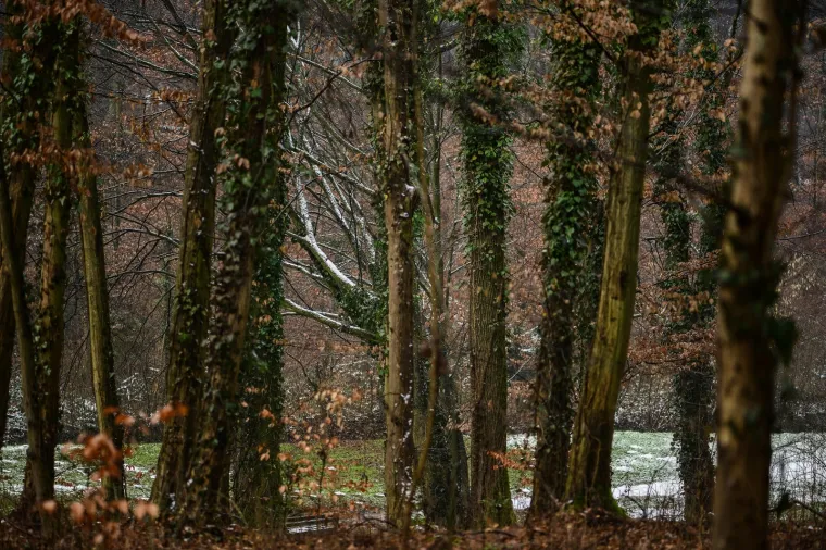 Prava zima: U Zagrebu pao prvi snijeg!