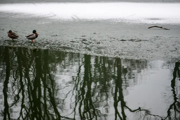 Prava zima: U Zagrebu pao prvi snijeg!