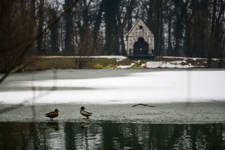 Prava zima: U Zagrebu pao prvi snijeg!