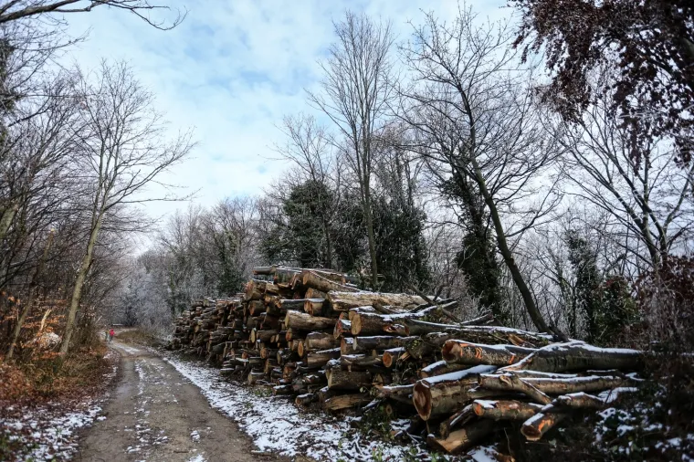 Prava zima: U Zagrebu pao prvi snijeg!