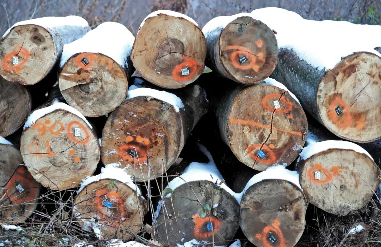 Prava zima: U Zagrebu pao prvi snijeg!