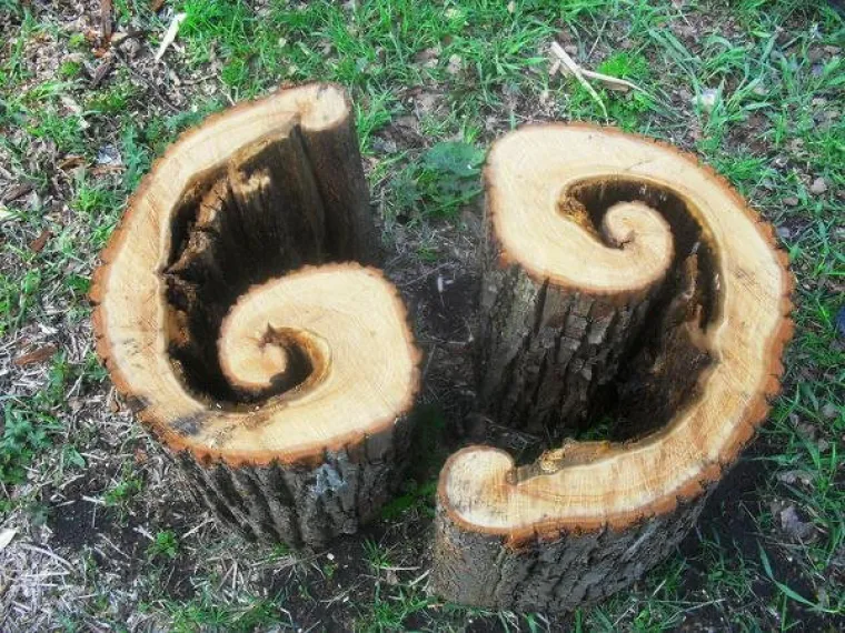 KOLIKE SU BILE &Scaron;ANSE DA IM SE OVO DOGODI? Oni su zaista imali vi&scaron;e sreće nego pameti. Jeste li vidjeli i&scaron;ta slično?