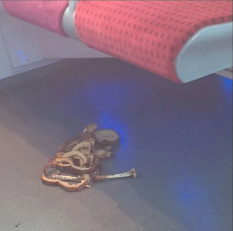 Dno dna: ljudi objavljuju fotografije nemarnih putnika koji nikad nisu čuli za pristojnost