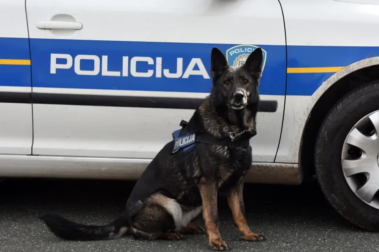 Velika policijska akcija na autocesti Zagreb-Split! Na terenu hrpa policajaca i psi