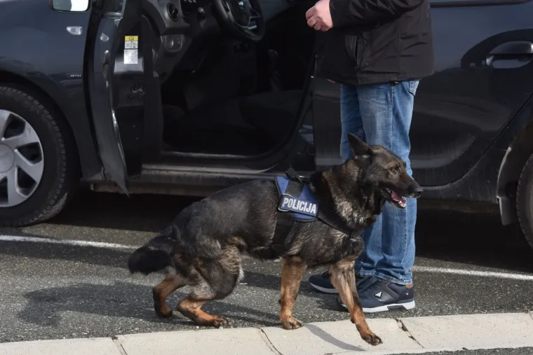 Velika policijska akcija na autocesti Zagreb-Split! Na terenu hrpa policajaca i psi